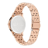 Ted Baker FASHION 34 mm Blue Dial Women Analog Watch BKPFZS404