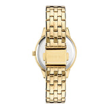 Ted Baker FASHION 34 mm Black Dial Women Analog Watch BKPFZS405