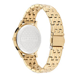 Ted Baker FASHION 34 mm Black Dial Women Analog Watch BKPFZS405