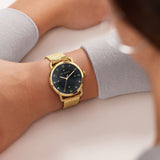 Ted Baker Black Dial Women Watch BKPHRS202