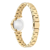 Ted Baker Jolyye 24 mm Gold Tone Dial Women Analog Watch BKPJLF401