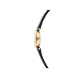 Ted Baker Jolyye 24 mm Black Dial Women Analog Watch BKPJLF405