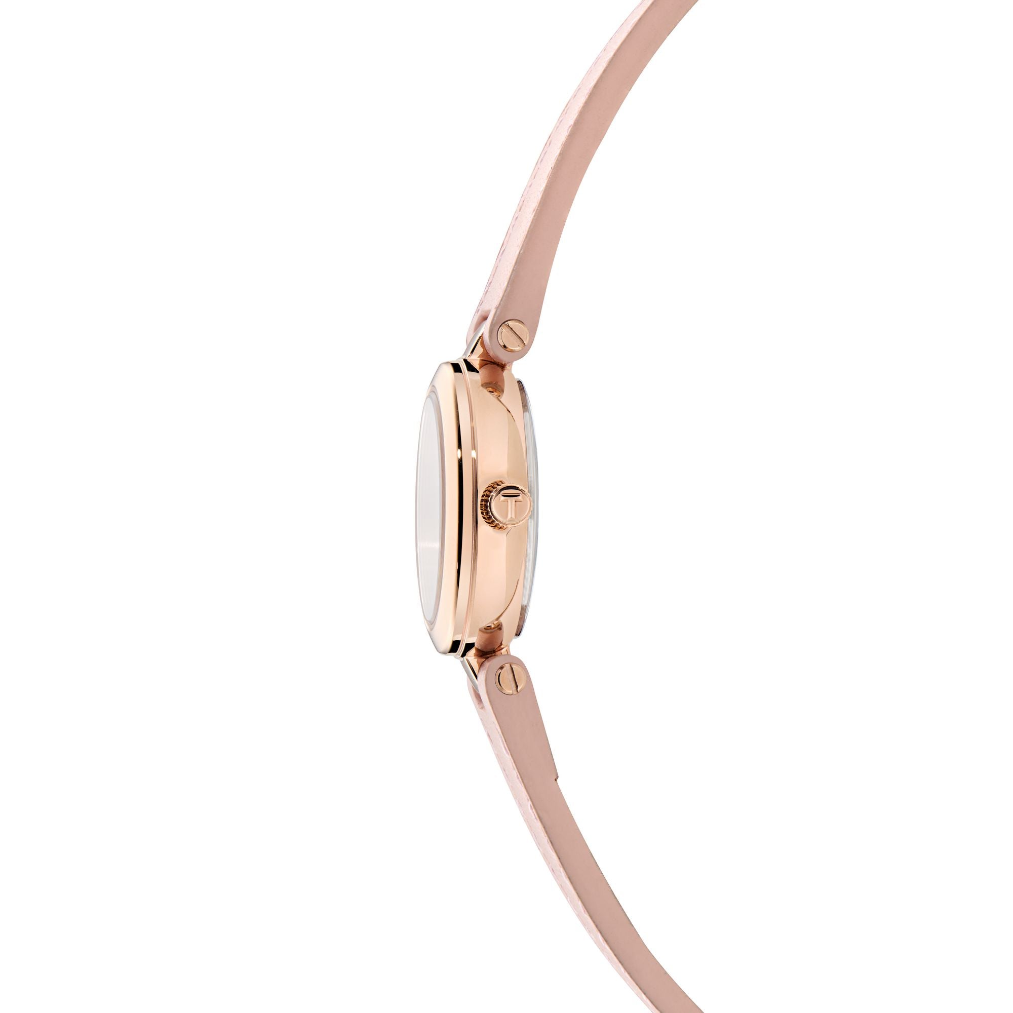 Ted Baker Jolyye 24 mm Silver Tone Dial Women Analog Watch BKPJLF406