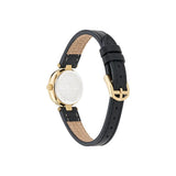 Ted Baker Jolyye 24 mm Black Dial Women Analog Watch BKPJLS502