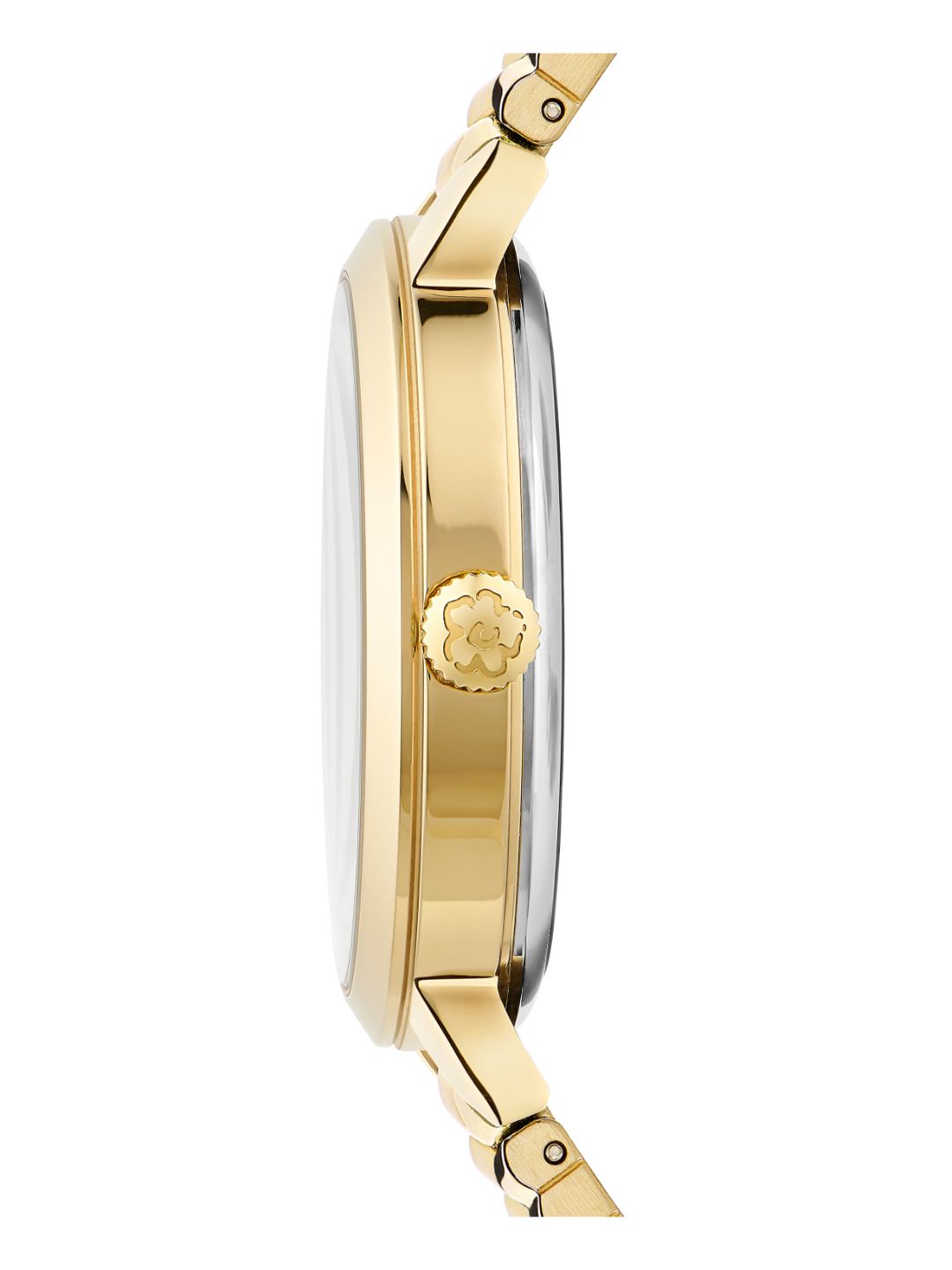 Ted Baker 36 mm Black Dial Women Watch BKPLIF203
