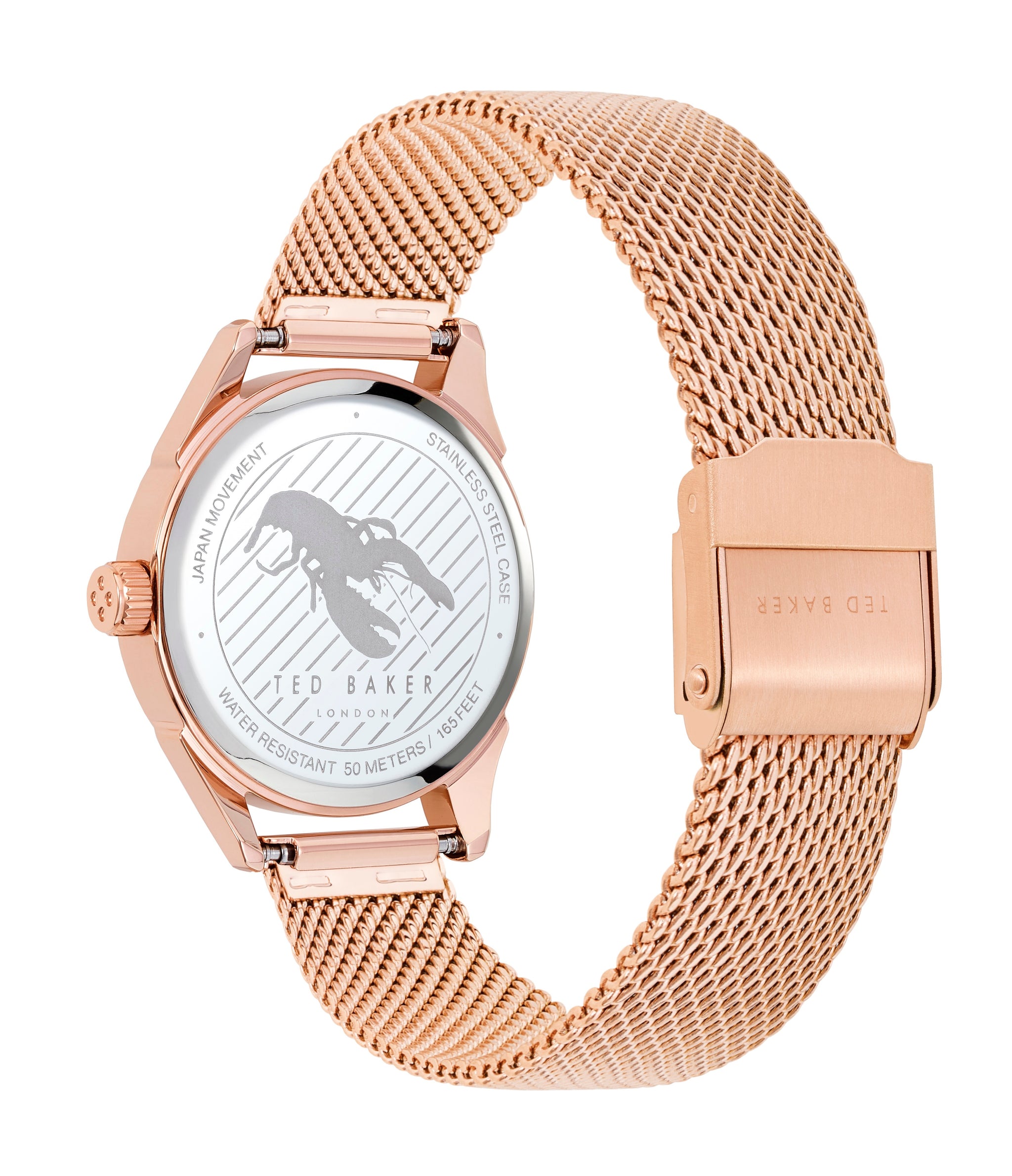 Ted Baker Women Silver Dial Watch BKPLUF905