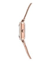 Ted Baker 24 mm Black Dial Women Watch BKPMSF304
