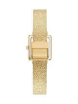 Ted Baker 24 mm Green Dial Women Watch BKPMSF306