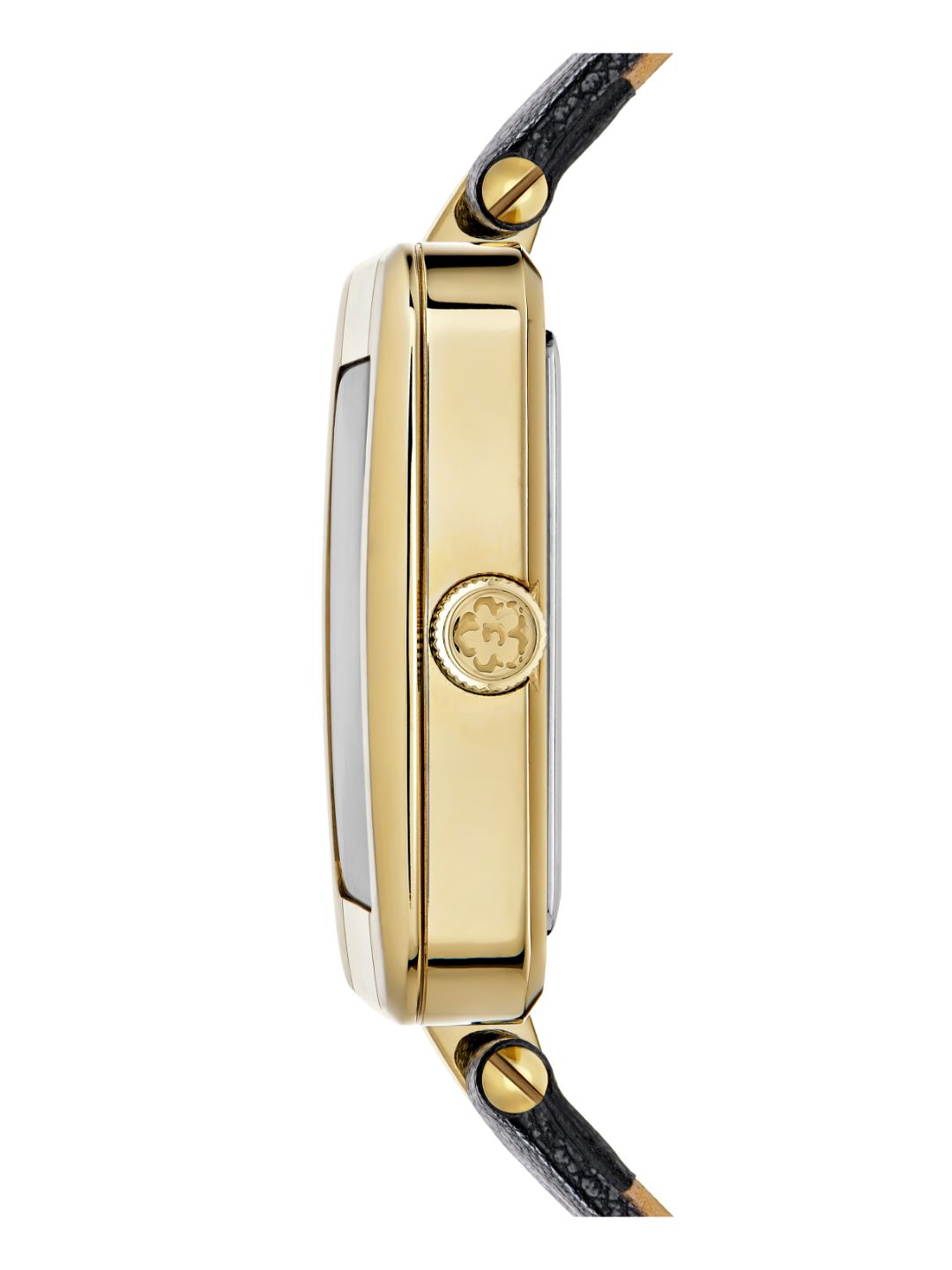 Ted Baker 33 mm Women Black Wrist Watch BKPMSS301