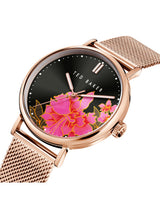 Ted Baker Black Dial Women Watch BKPPHF006
