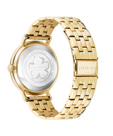 Ted Baker Women 37 mm Quartz Analog Beige Dial Gold Stainless Steel Strap Watch BKPPHF208