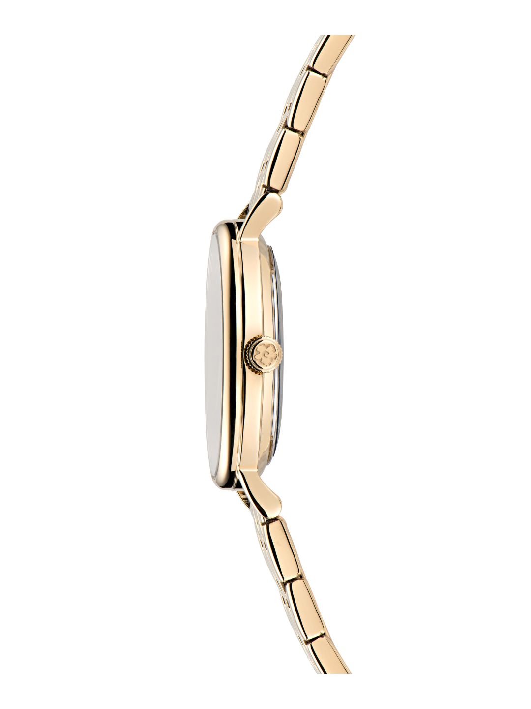 Ted Baker 34 mm Silver Tone Dial Women Watch BKPPHF309