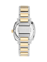 Ted Baker 38 mm Silver Tone Dial Women Watch BKPRBF302