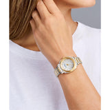 Ted Baker CLASSIC CHIC 33 mm White Dial Women Analog Watch BKPRBS407