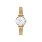 Ted Baker Staciie 28 mm Mother of Pearl Dial Women Analog Watch BKPSTF405