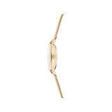 Ted Baker Staciie 28 mm Mother of Pearl Dial Women Analog Watch BKPSTF405