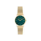 Ted Baker Staciie 32 mm Green Dial Women Analog Watch BKPSTF411