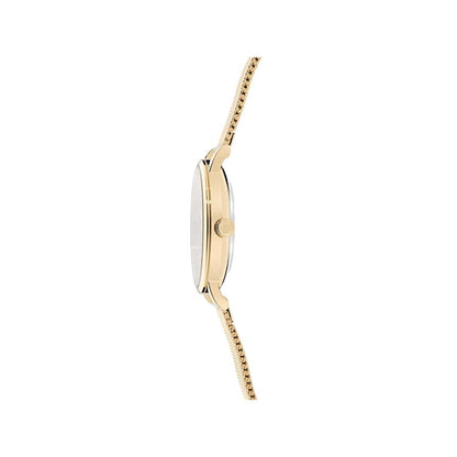 Ted Baker Staciie 32 mm Green Dial Women Analog Watch- BKPSTF411
