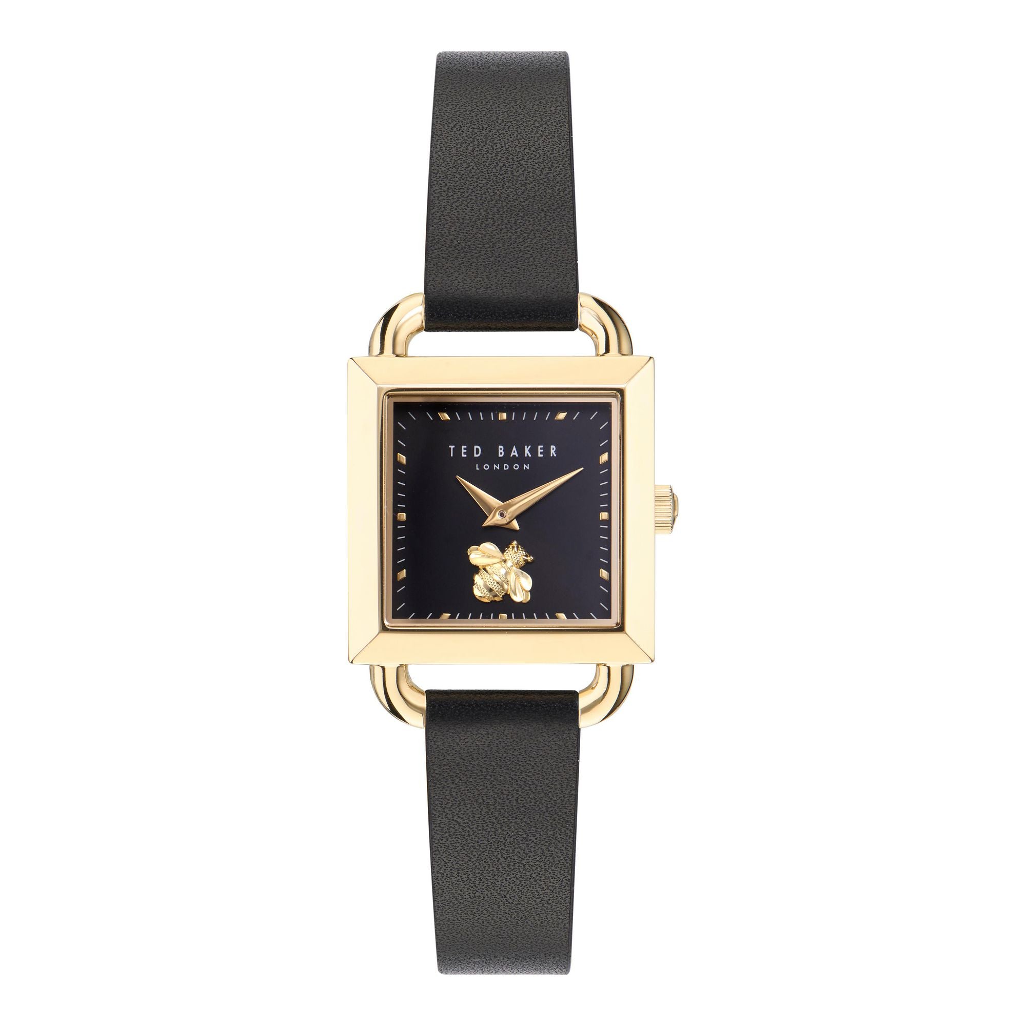 Ted Baker Taliah 28 mm Black Dial Women Analog Watch BKPTAS301
