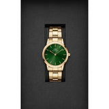 Daniel Wellington Iconic Link 28 mm G Green Women Watch DW00100340