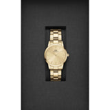 Daniel Wellington Gold Dial Women Analogue Watch  DW00100403