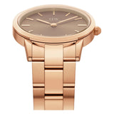 Daniel Wellington Brown Dial Women Analogue Watch  DW00100463