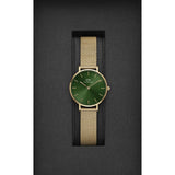 Daniel Wellington Green Dial Women Analogue Watch  DW00100479