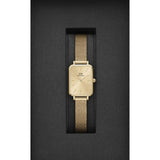 Daniel Wellington Gold Dial Women Analogue Watch  DW00100485