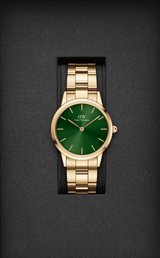 Daniel Wellington Green Dial Women Analogue Watch  DW00100554