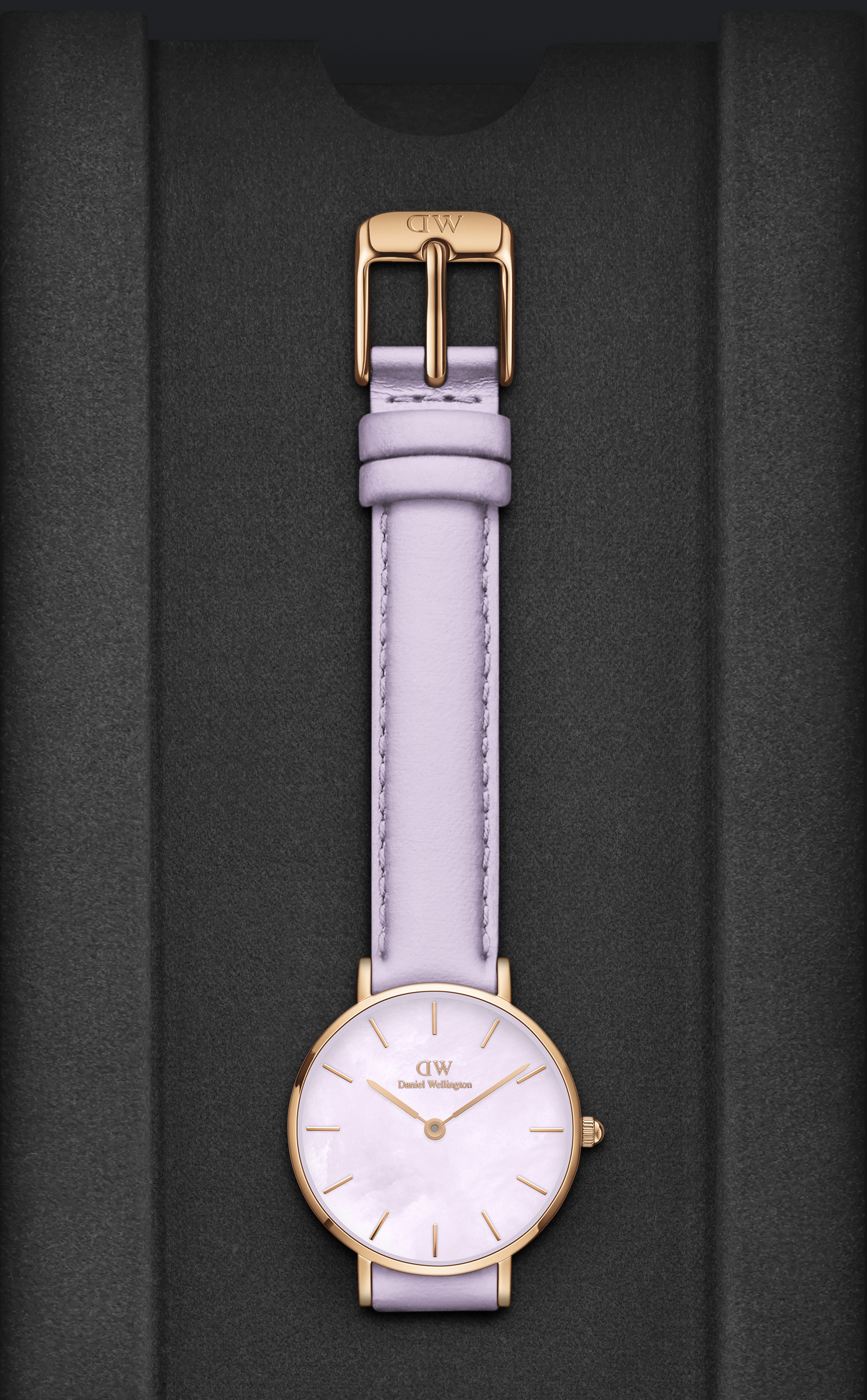 Daniel Wellington Mother of Pearl Purple Dial Women Analogue Watch  DW00100634