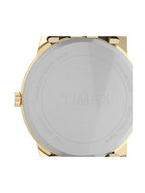 Timex Easy Reader 35 mm White Dial Men Analog Watch T2H301