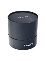 Timex Fashion 43mm Silver Dial Analog Men Watch TW000T308