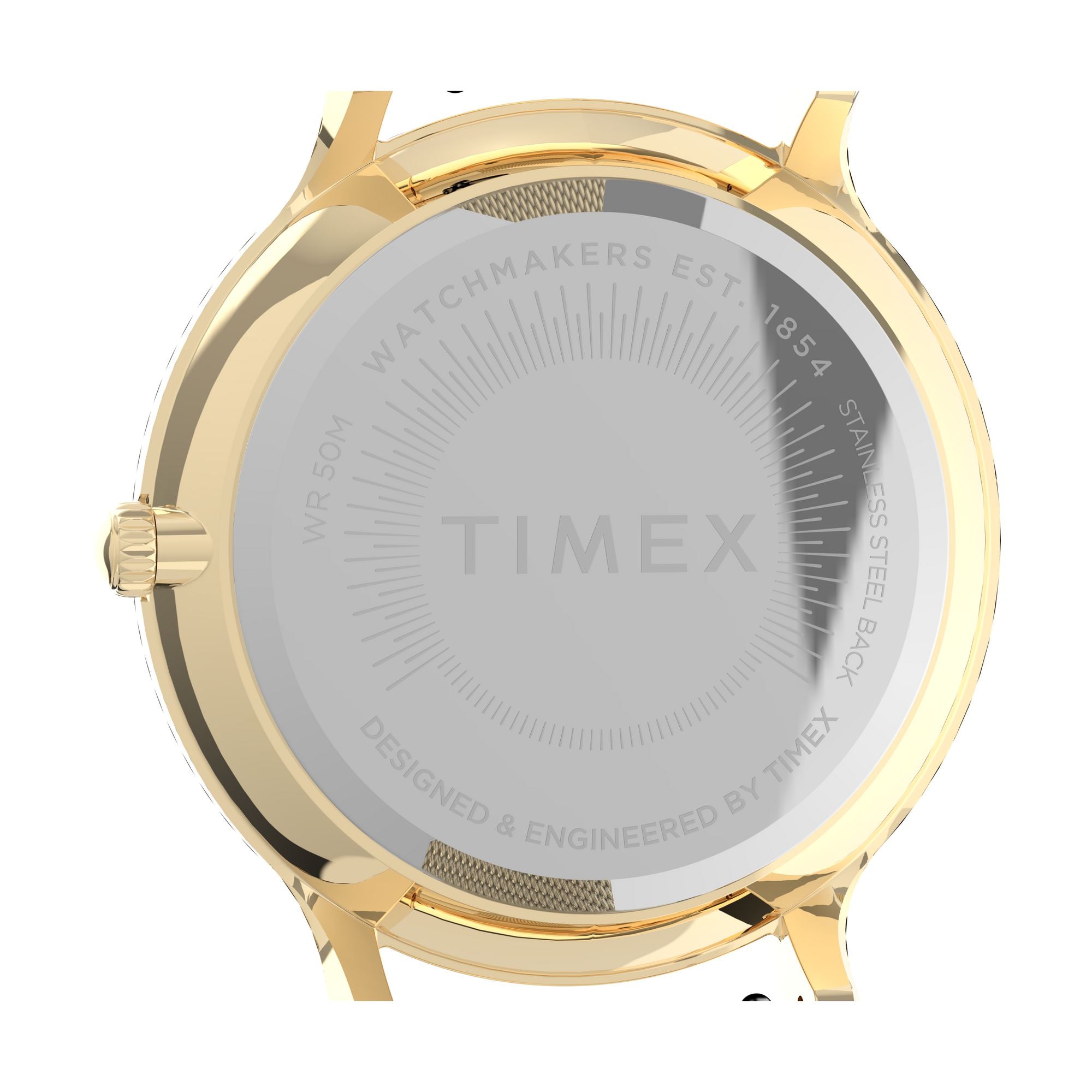 Timex 38 mm White Dial Analog Women Watch TW2T74100